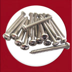 Pozi Pan Self-Tapping Screws No.4–12 — A4 316 Marine