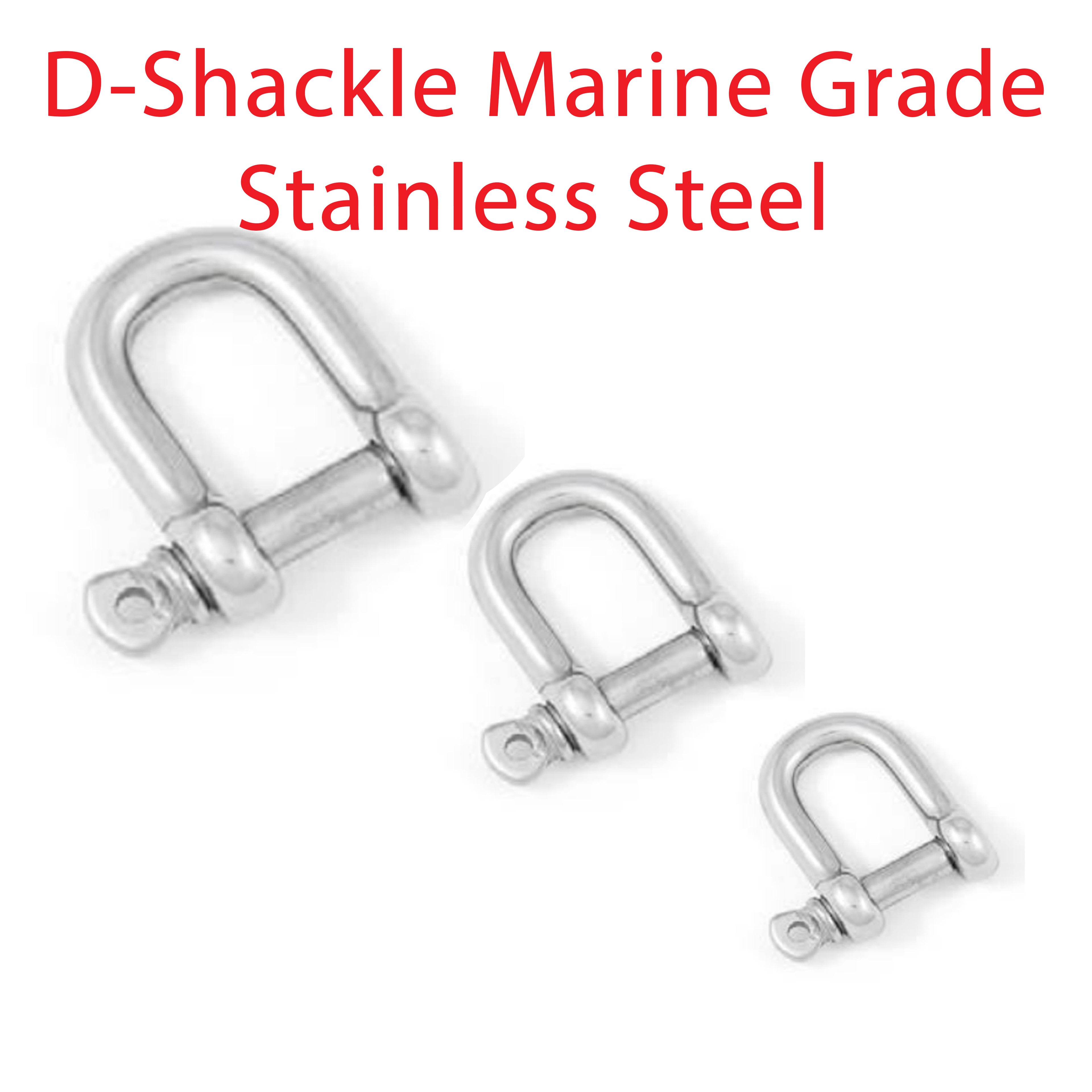 D-shackle in A4 316 marine grade stainless steel with screw pin, second view