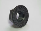 Black Serrated Flange Nuts M3–M10 — A2 Stainless DIN 6923