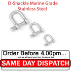 D-Shackle M4–M10 — A4 316 Marine Grade Stainless Steel