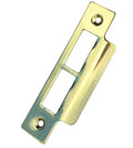 Brass Strike Plate — Double Long, 114mm
